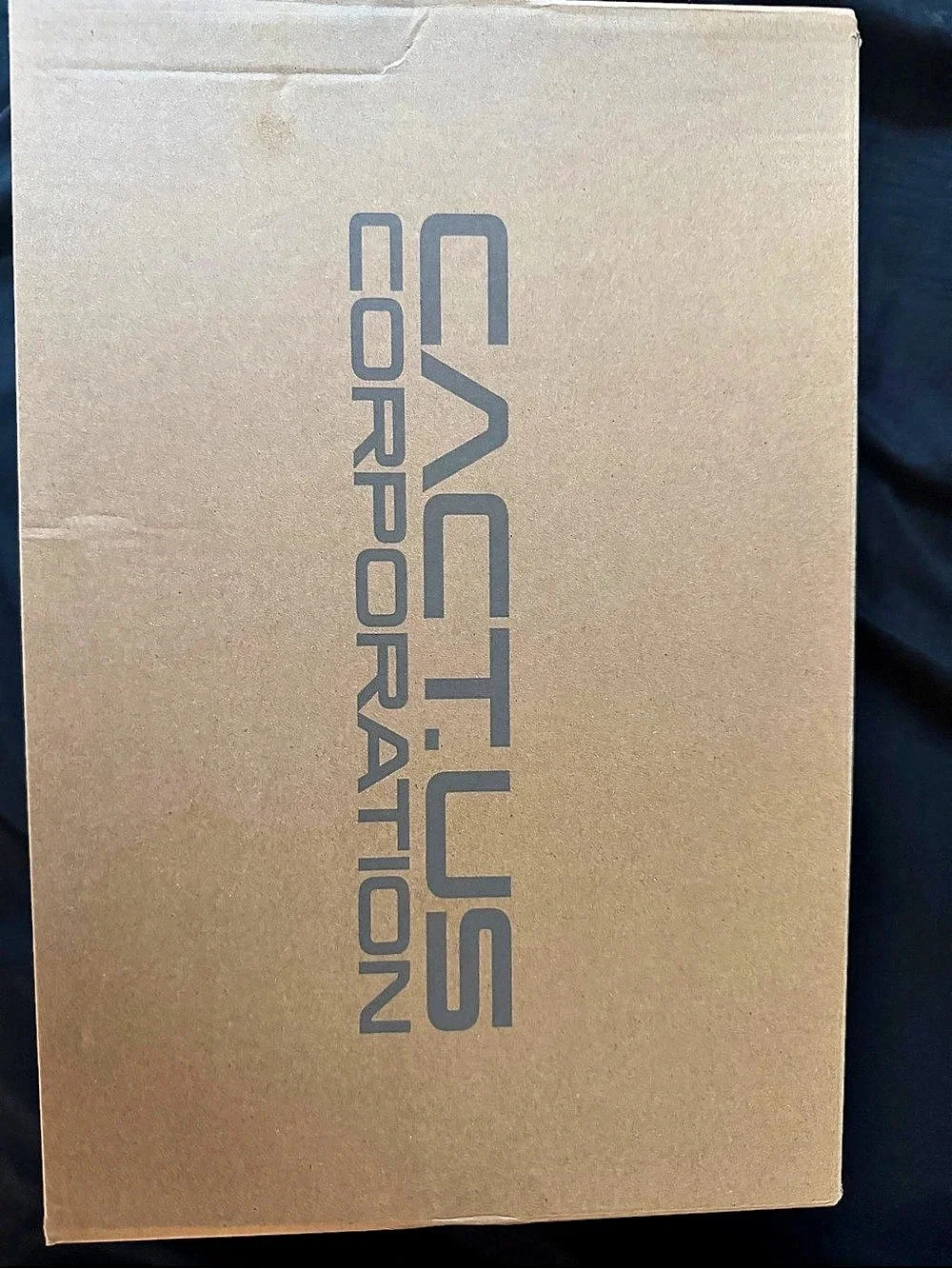 Nike Cactus Corporation Pink & Brown Sneakers